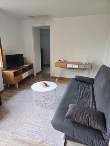 Ouzouer-sur-Loire Apartment | Logement moderne équipé