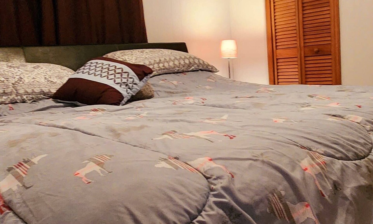 Barraute Apartment | Logis 5 chambres Mont Video