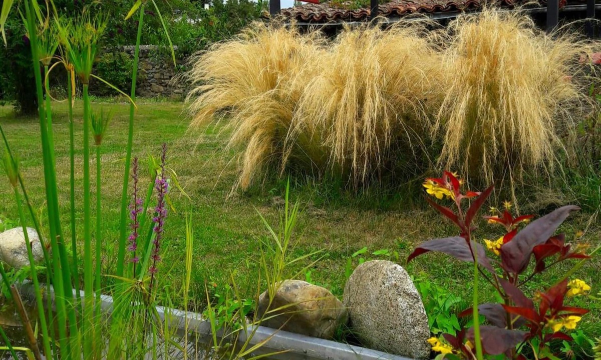 Saint-Pierre-de-Riviere Hotel | Logis Auberge La Barguillère