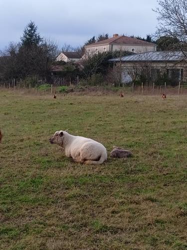 La Couture Bed & Breakfast | Logis Dézamy chambre d'hôtes