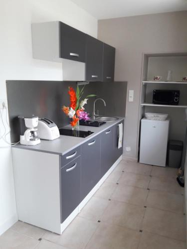 Saint-Hilaire-la-Palud Apartment | Logis de LANGE studio 2 p