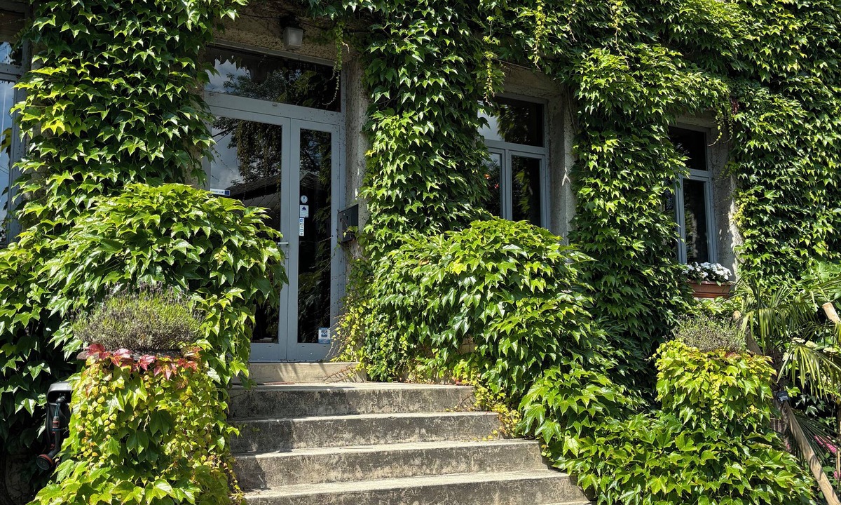 Artres Hotel | Logis Hôtel-Restaurant Le Moulin D'Artres