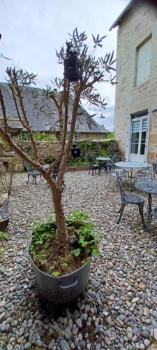 Meymac Apartment | Logis La P'tite Futée