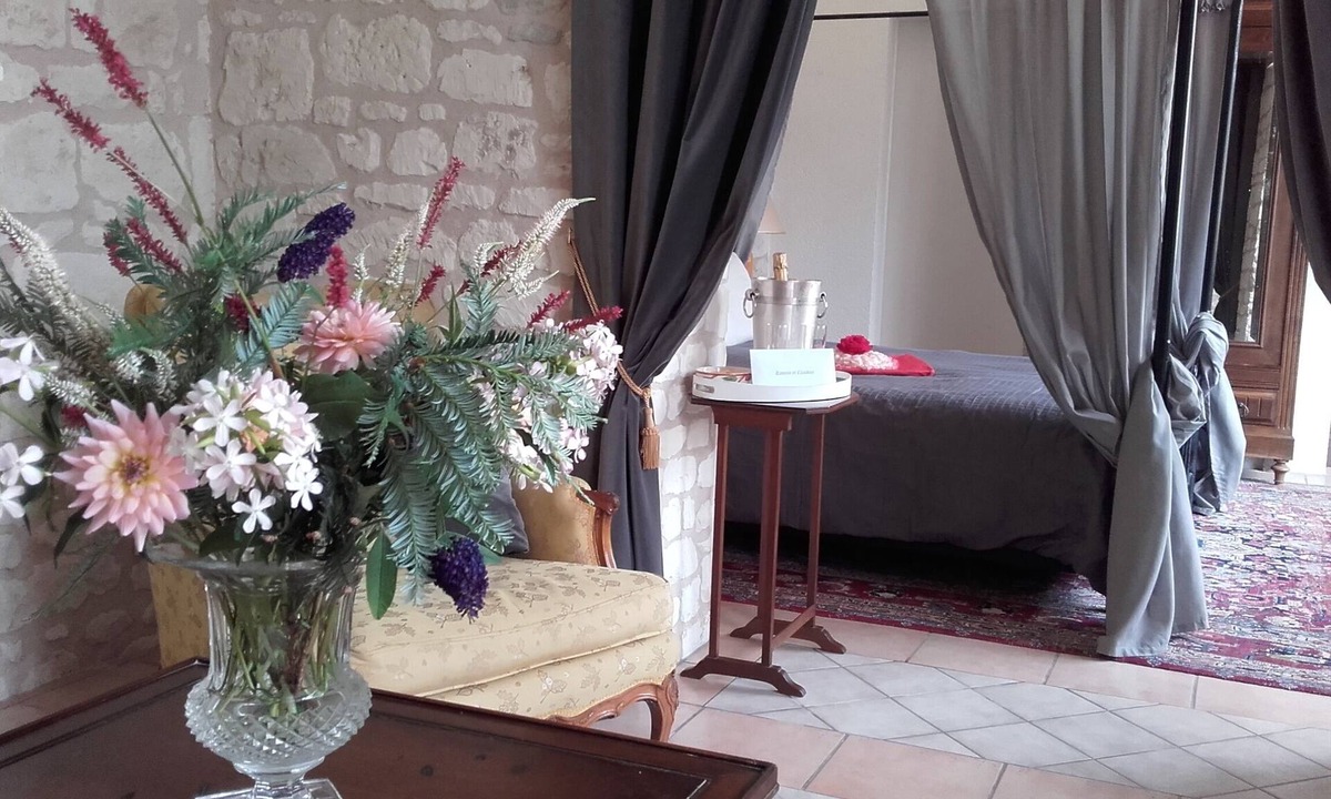 Bournand House | Loire Valley: Chateau de Bournand, nine acres park with pool, up to 18 guests
