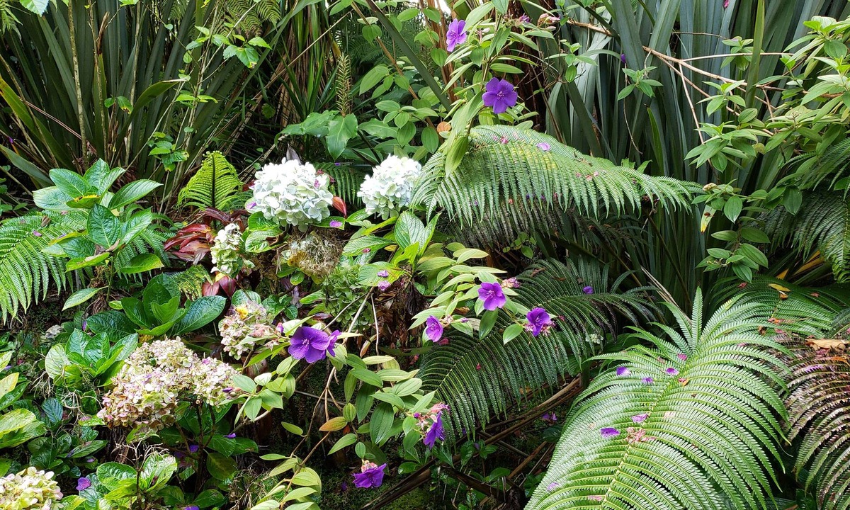 Volcano Hotel | Lokahi Lodge