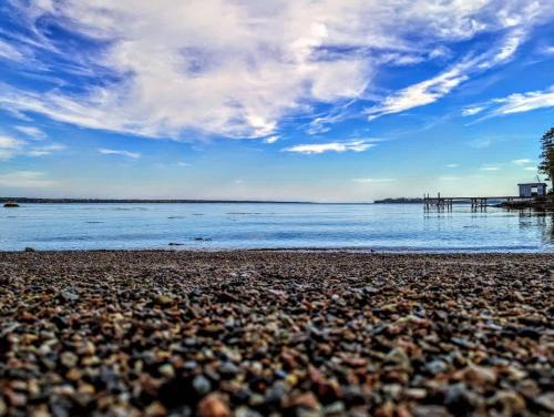 Gouldsboro House | Lone Pine Oceanfront Cottage