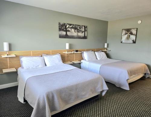 Kingston Hotel | Lord Nelson Motel
