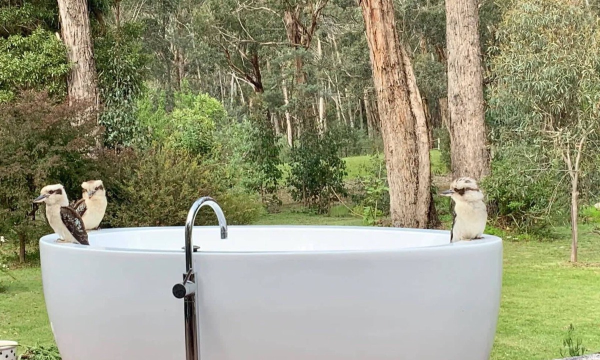 Wheatsheaf House | Lorien Summary: Escap