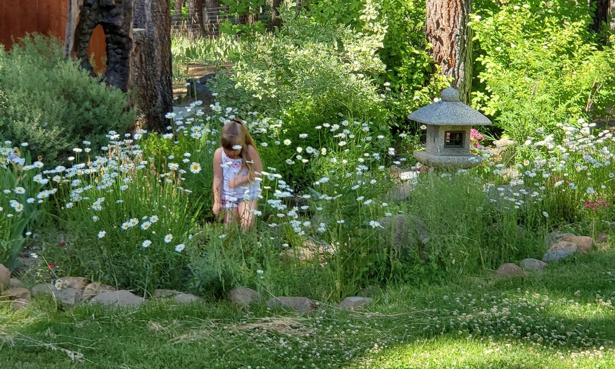 Iron Horse House | Lost Sierra Mountain Home