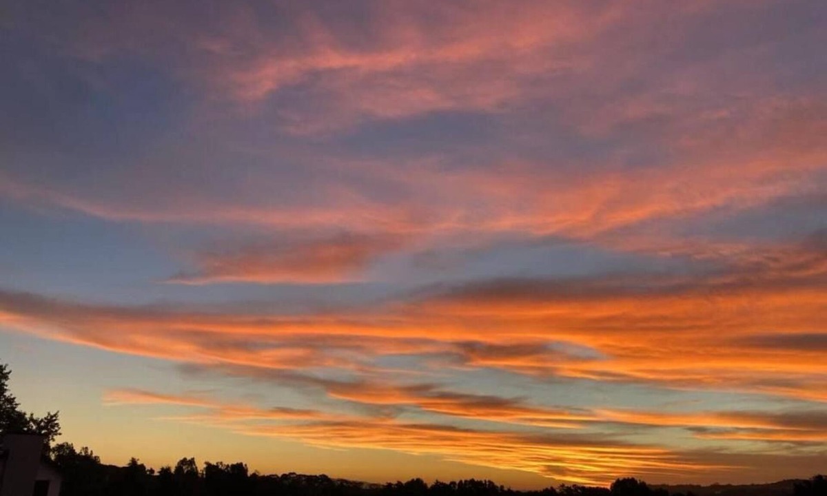 Buckland House | Lotus House