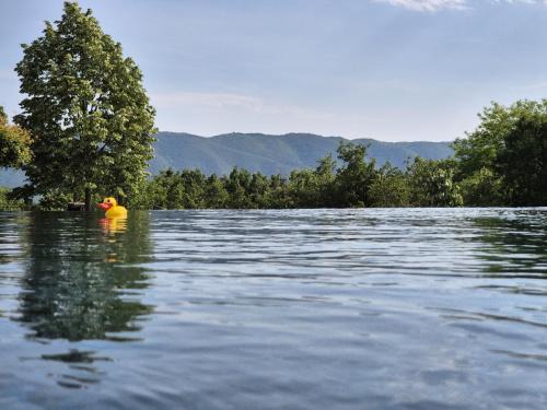 Viens Villa | Lou damisello - Villa moderne