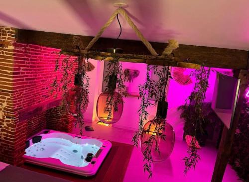 Leguevin Apartment | Love Room Toulouse