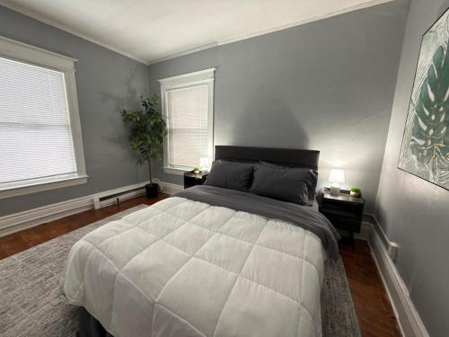 Rochester Apartment | Lovely 1 Bed Near Cobbs Hill W Office