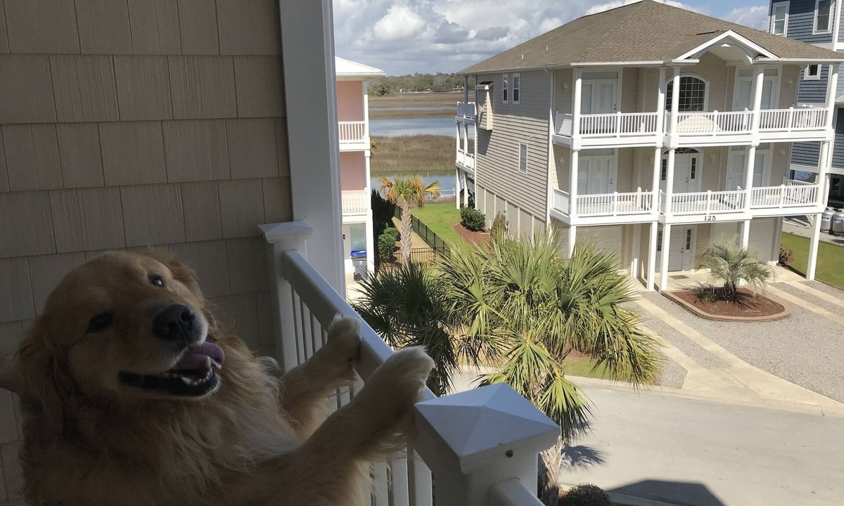 Ocean Isle Beach Condo | Lovely 4 Bed/4 Bath Pet-Friendly Villa, short walk to beach on west end of OIB