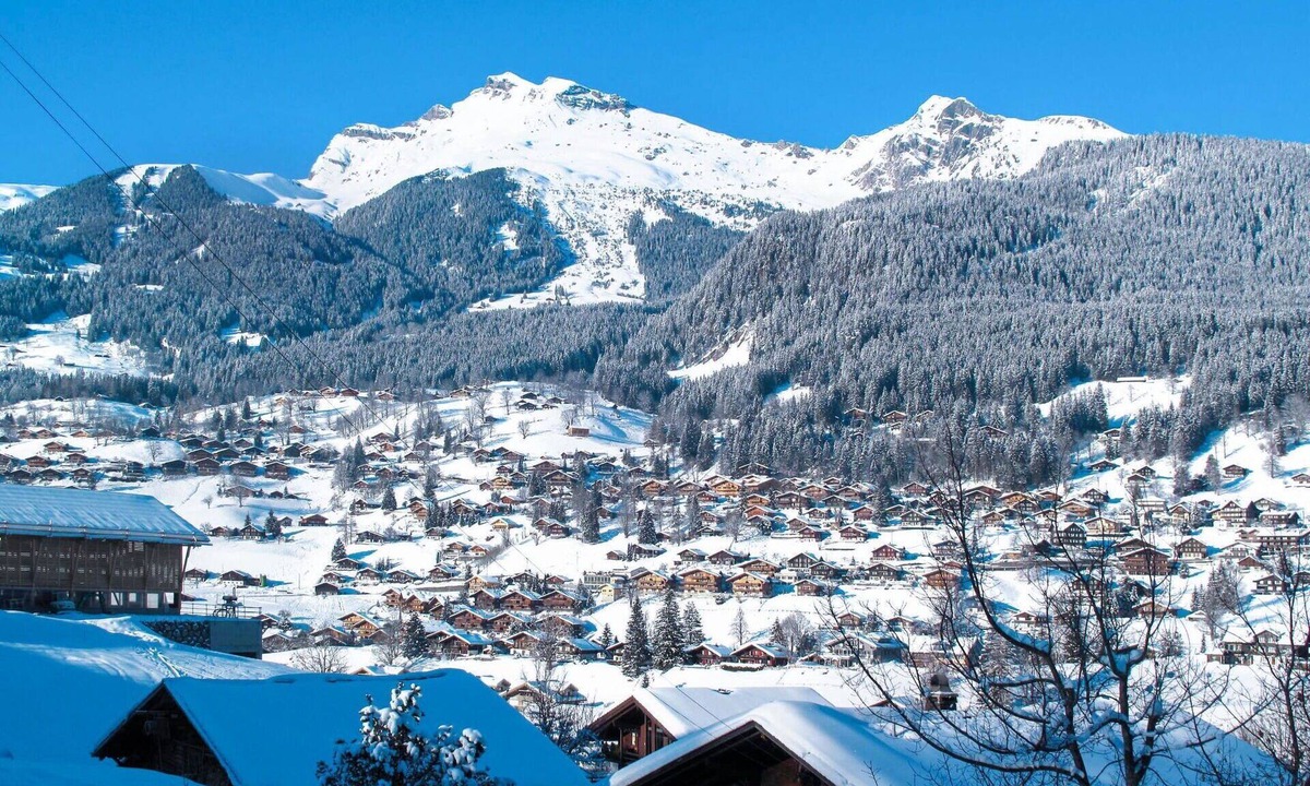 Grindelwald Apartment | Lovely apartment for 5 guests with WIFI, TV, balcony and panoramic view