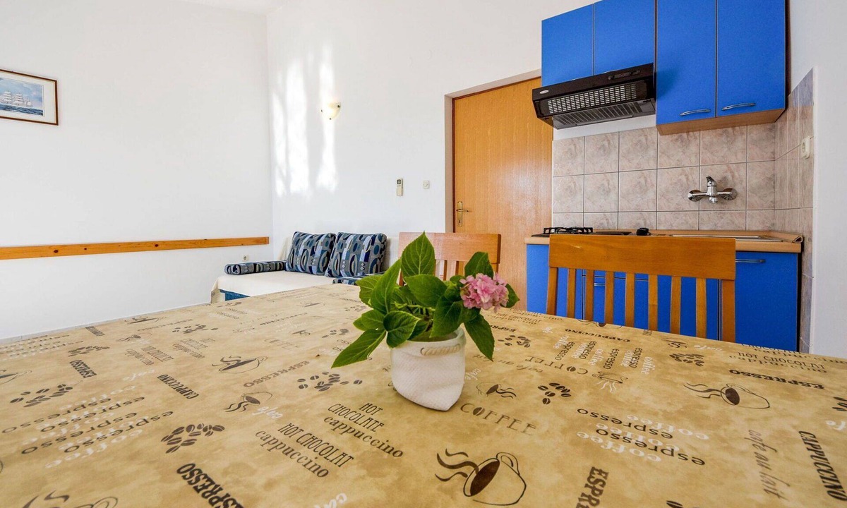 Tribanj Apartment | Lovely apartment for 4 guests with A/C, WIFI, TV and terrace