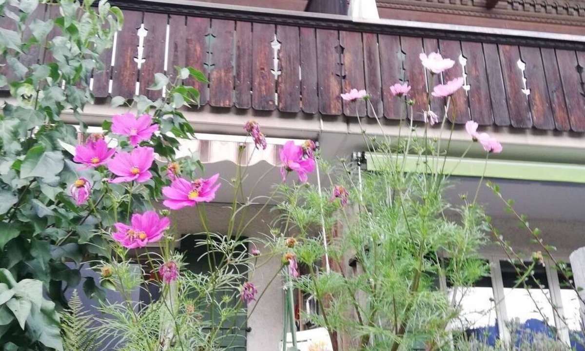 Lenk Apartment | Lovely apartment for 6 people with TV, balcony and pets allowed