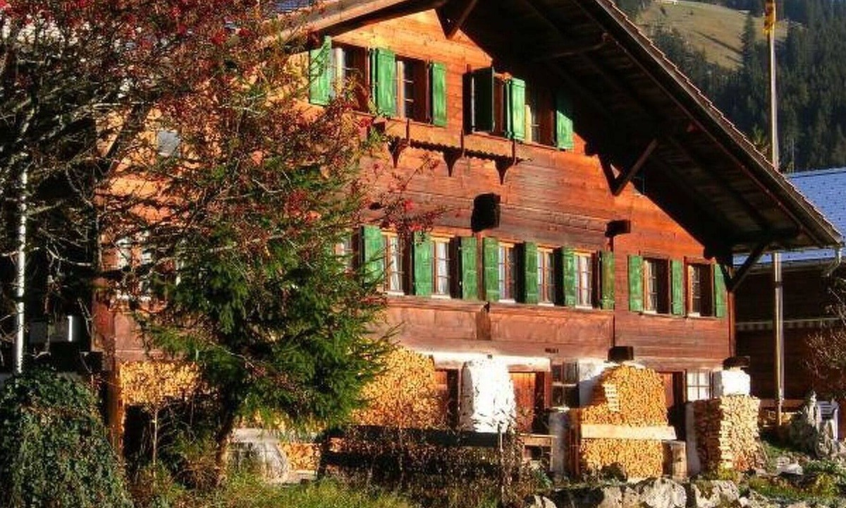 Oberwil im Simmental Apartment | Lovely apartment for 5 people with WIFI, balcony and parking