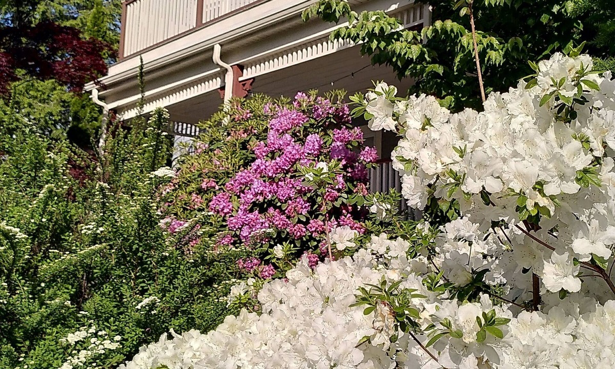 Arlington Apartment | Lovely, bright 2-BR in historic Arlington