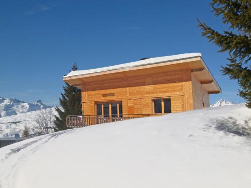 Plan Peisey Ski Chalet | Lovely chalet in Plan Peisey