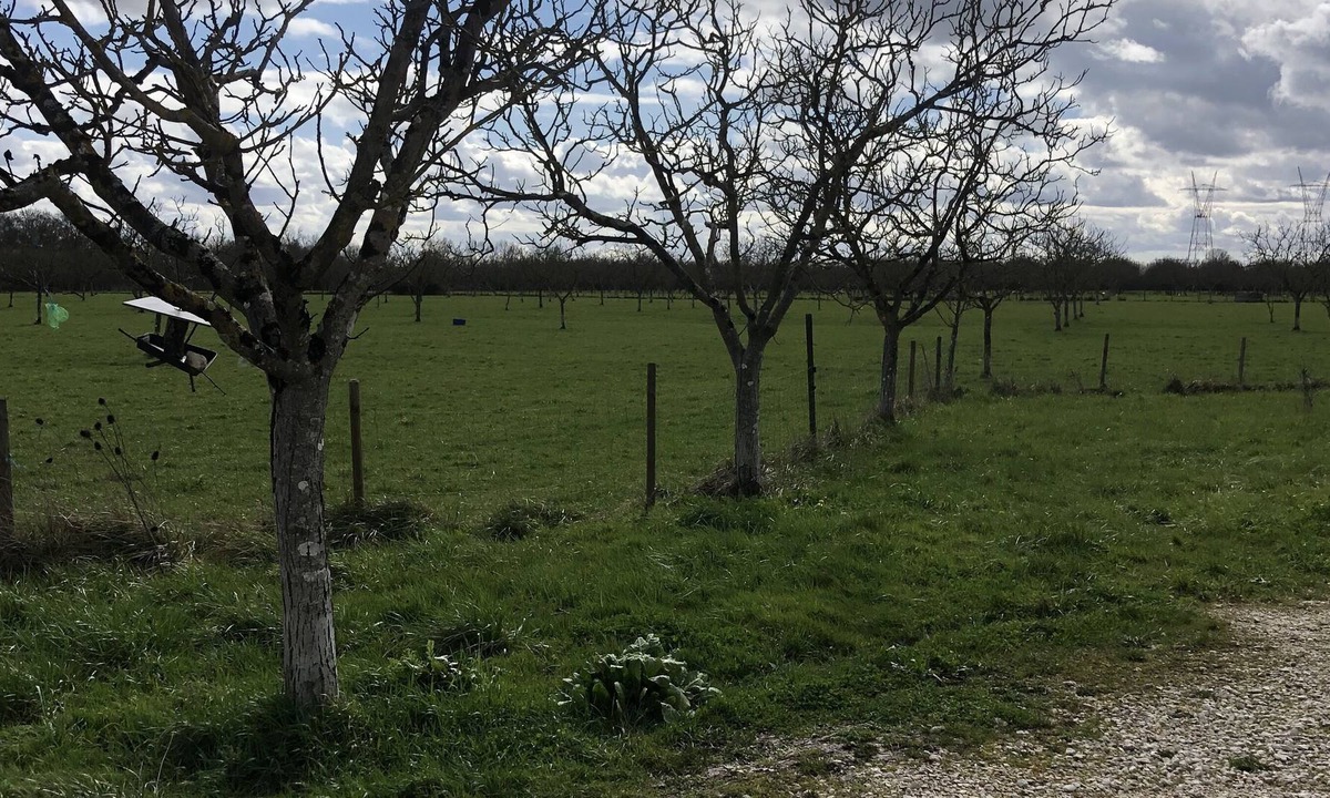 Bourg-sur-Gironde Cottage | Lovely farm cottage