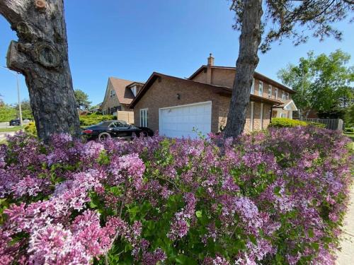 Bayview Woods - Steeles Villa | Lovely house in a nice community