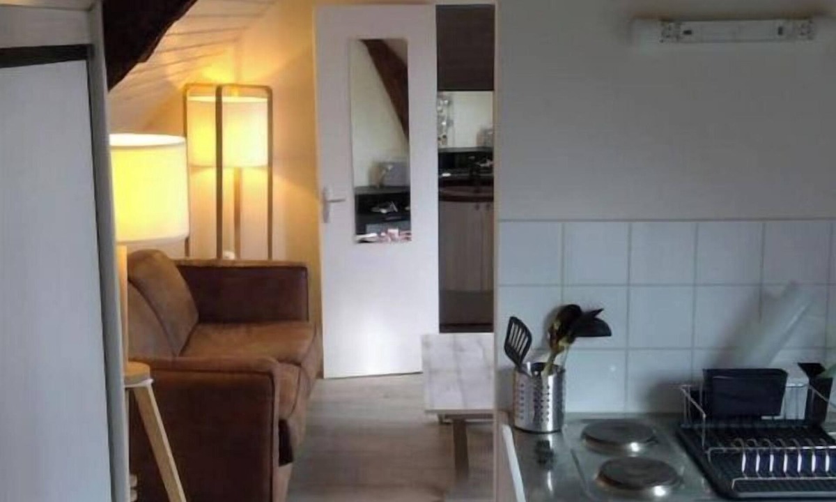 Bouchemaine Apartment | Lovely studio overlooking the Loire