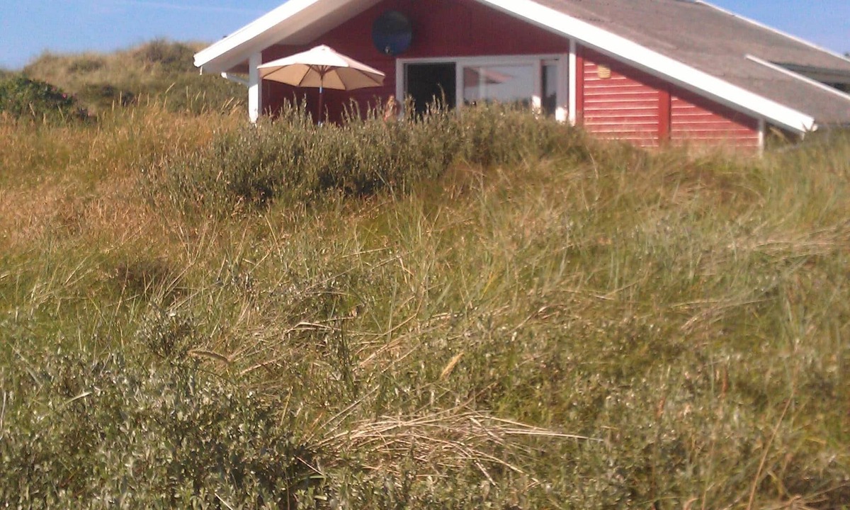 Lild Strand Cottage | Lovely wooden house in a beautiful location - close to the beach, dunes and forest