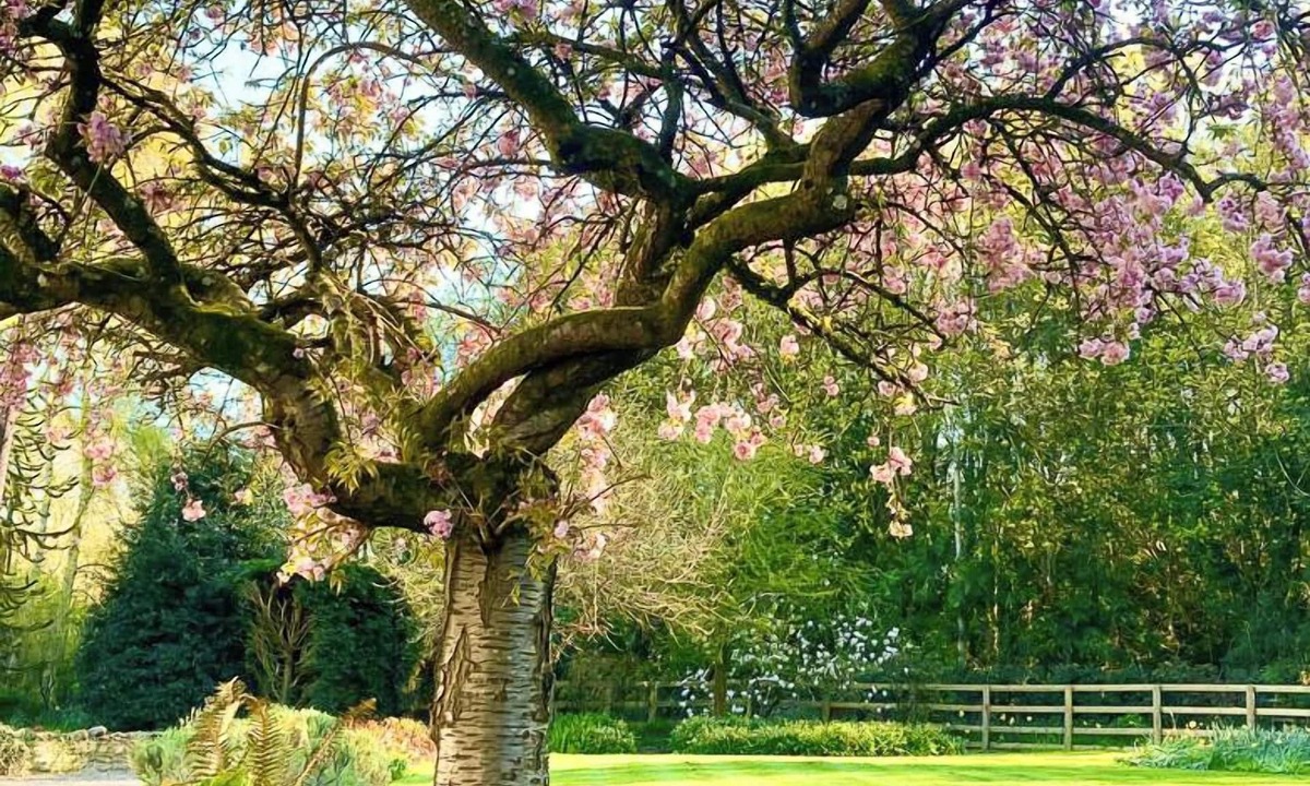 Adforton Bed & Breakfast | Lower House B&B