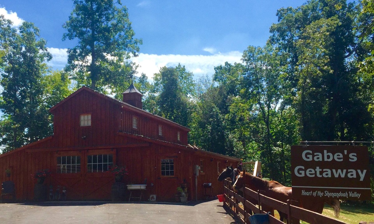 Broadway Apartment | Lower Rates Dec 1-March Mountain View’s, Friendly Animals and Fun by the Pond
