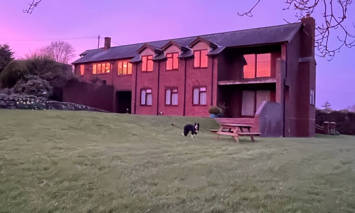 Kenn Other | Lower Thornton Farm