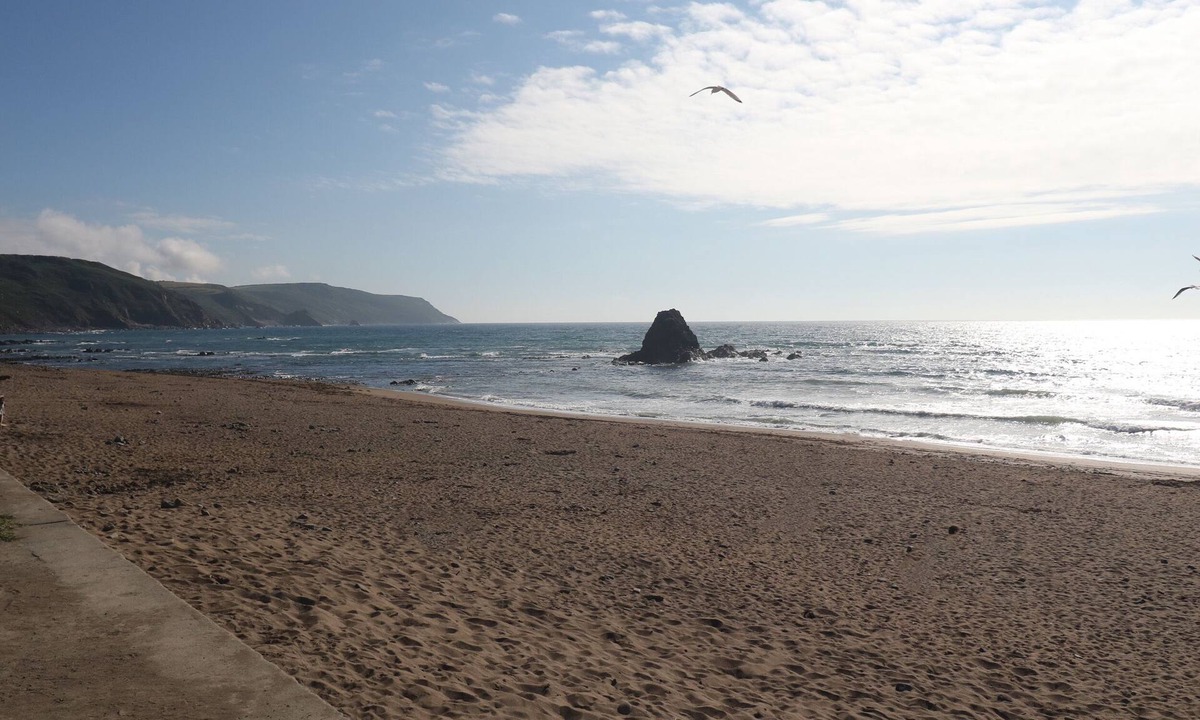 Brazzacott Cottage | Lower West Curry Cottage