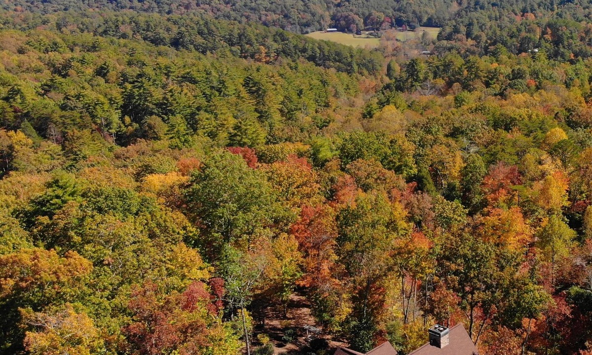 Hidden Lake Cabin | Lux/VIEWS/8min2BR/Spa/Gameroom/Firepit/Paved