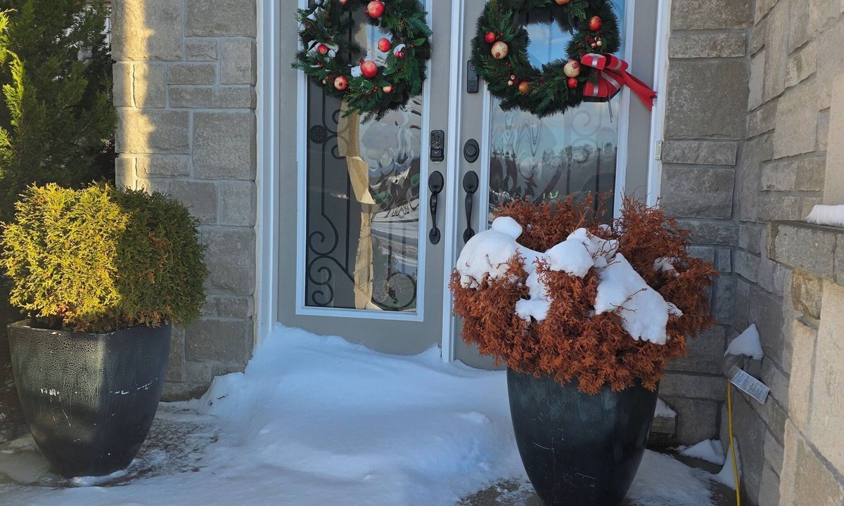 Hamilton House | Luxuriant Haven Retreat 3 Bedrooms - 3 Bedrooms: 2 King size beds & a Queen size