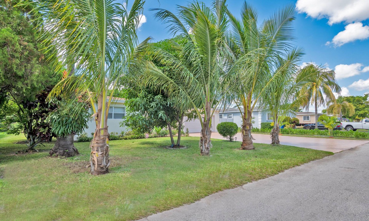 Miramar House | Luxurious 5bed and 3bath