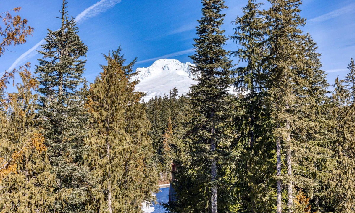 Government Camp Condo | Luxurious Collins Lake condo with fireplace, great views & shared pool & hot tub