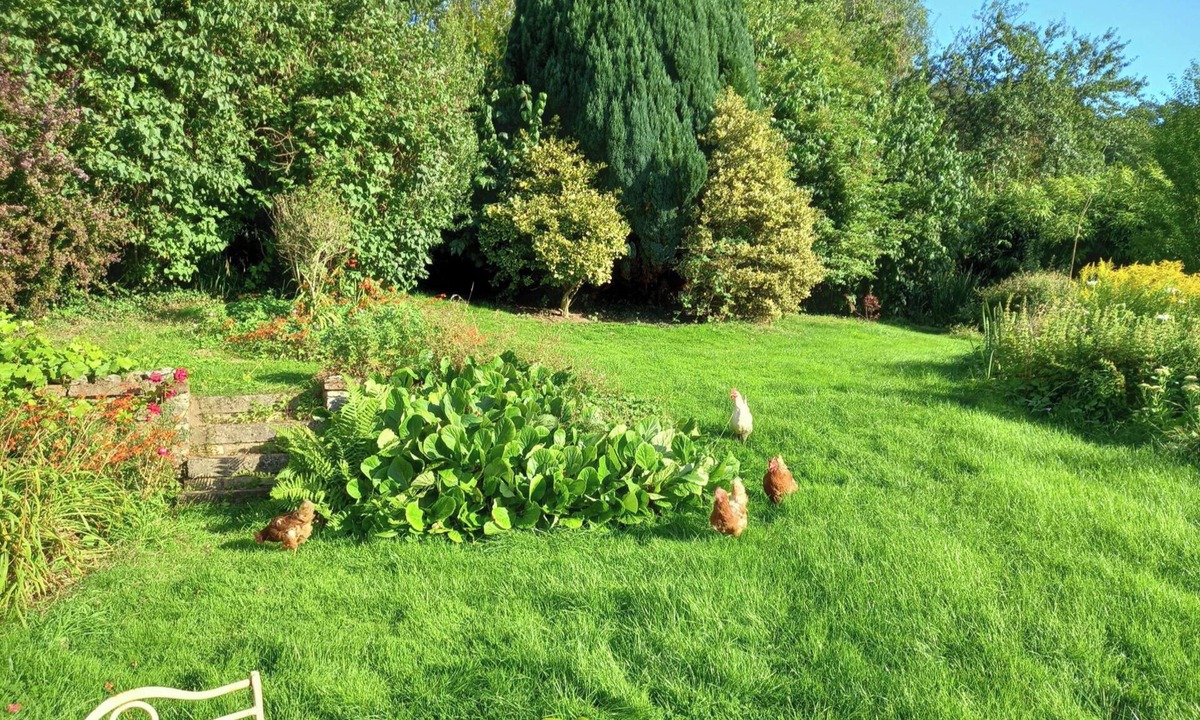 Axminster Apartment | Luxurious Entire Studio in Axminster Suitable for