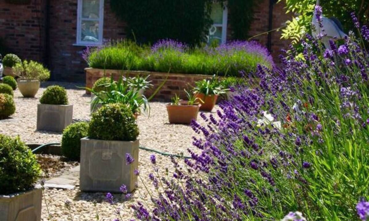 Macclesfield Cottage | Luxury Accom With Pool Henbury Macclesfield