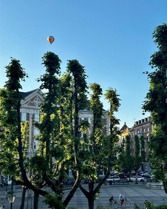 Frederiksberg C Apartment | Luxury apartment in the heart of Frederiksberg, Copenhagen