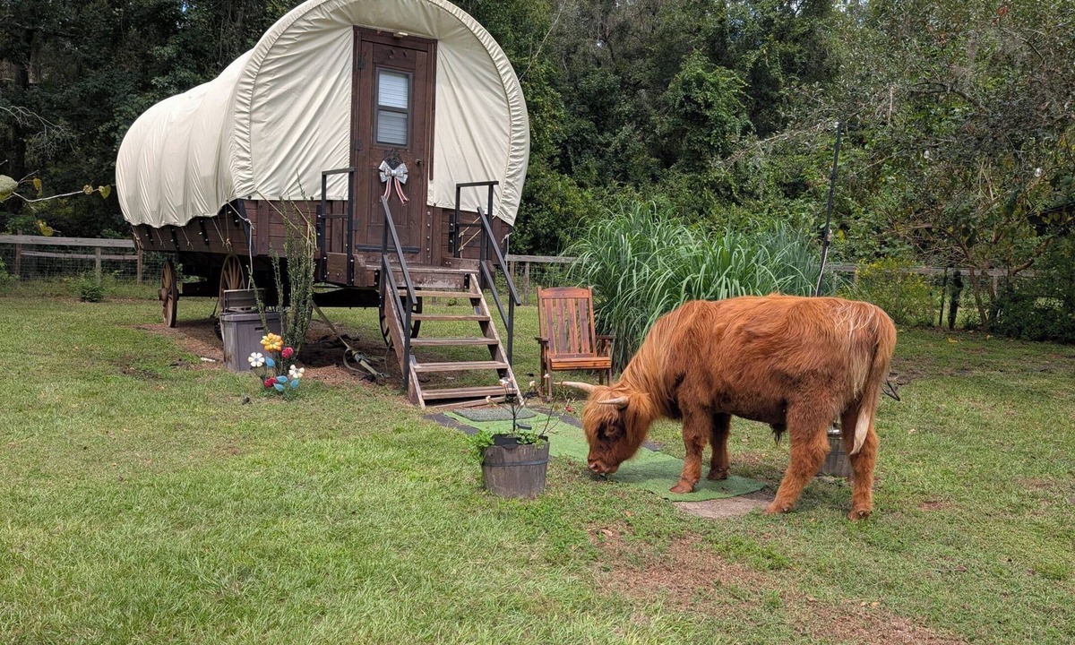 Putnam Hall Cabin | Luxury Covered Wagon, Rooterville Animal Sanctuary
