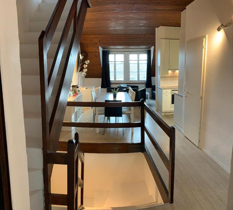 Neuchatel Apartment | Luxury Duplex Vue Chateau