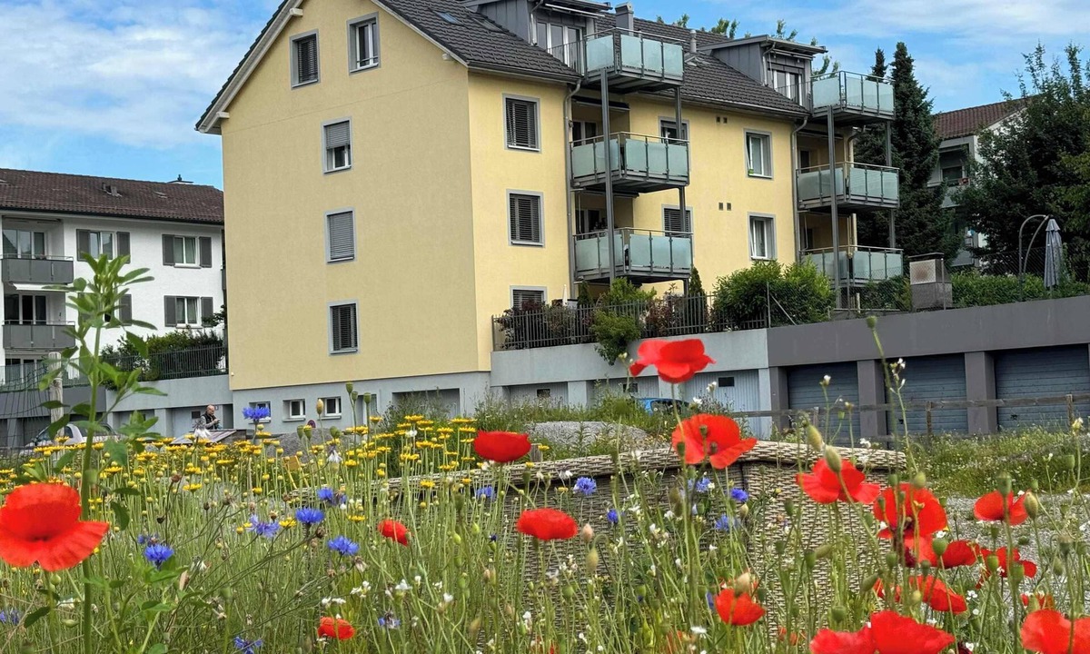 Wallisellen Apartment | Luxury Sunrise Terrace, 4.5 Rooms (FR-22)