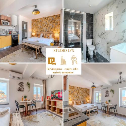 Roanne Apartment | Lys Roanne centre-ville - Clim & Parking
