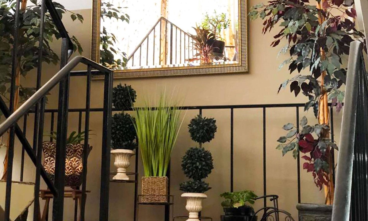 Mansfield Hotel | M Star Hotel Mansfield