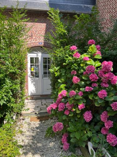 Pont-l'Eveque House | Ma jolie maison de Pont l'Evêque