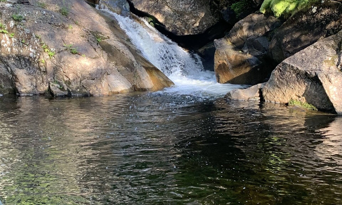 Stark House | MaaaBraaaapers