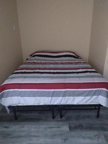 Lakewood House | Mabel place