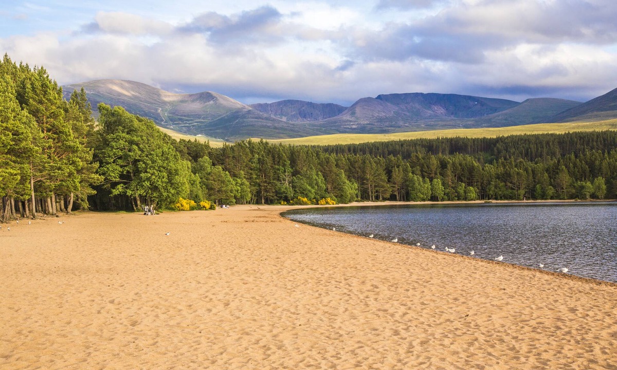 Aviemore Hotel | Macdonald Aviemore Hotel