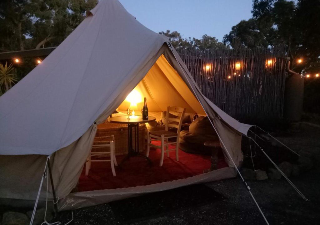 New Gisborne Other | Macedon Ranges Glamping with kangaroos