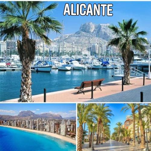 San Anton Apartment | MAGIC APARTAMENT - ALICANTE